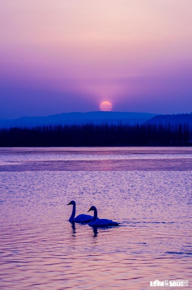 Lr修图后导入Ps相素会降低,怎么办如果直接用ps,但批量修麻烦,有什么改善的办法