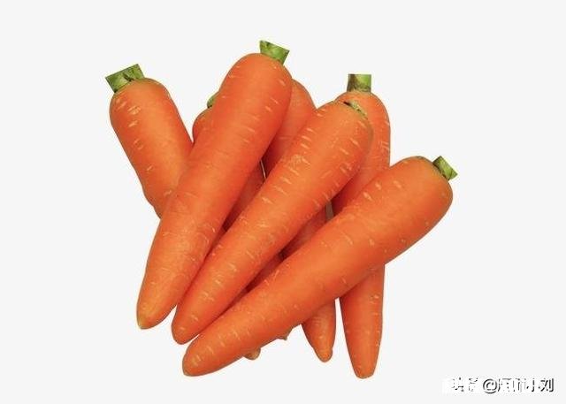 猪蹄用芹菜红萝卜抄水可以吗