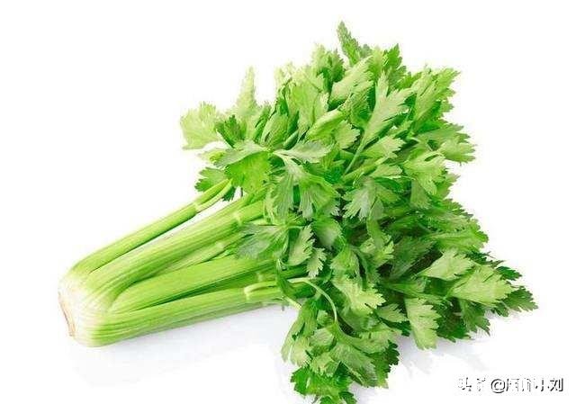 猪蹄用芹菜红萝卜抄水可以吗