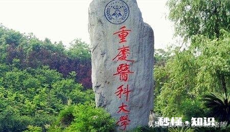 重庆正规卫校有哪些