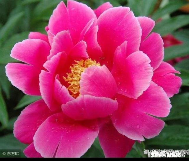 你几年没回家过年了2019年回吗