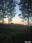 我们从出生到这个世界来是做什么的呢，有人一生辛苦，又是为了什么而活