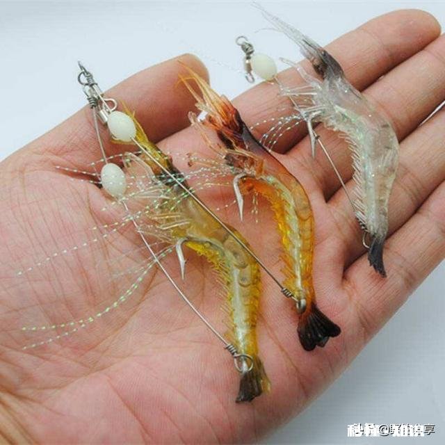 用仿生虾能钓到鱼吗