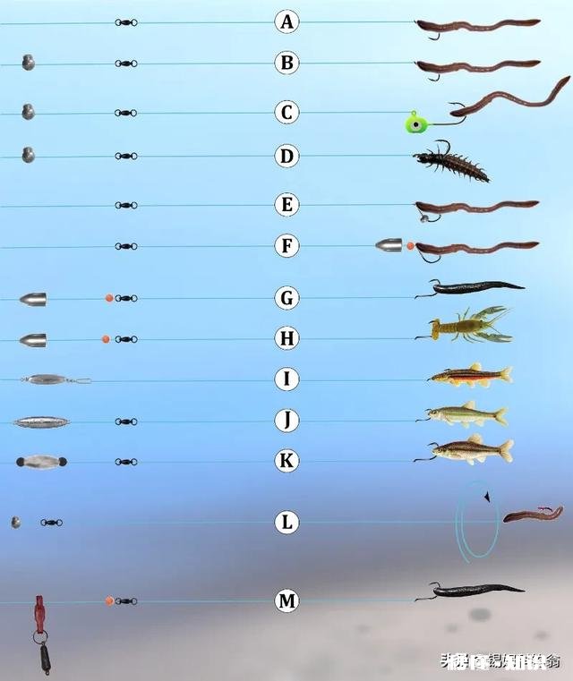 用仿生虾能钓到鱼吗