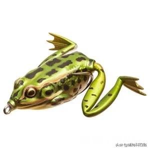 用仿生虾能钓到鱼吗