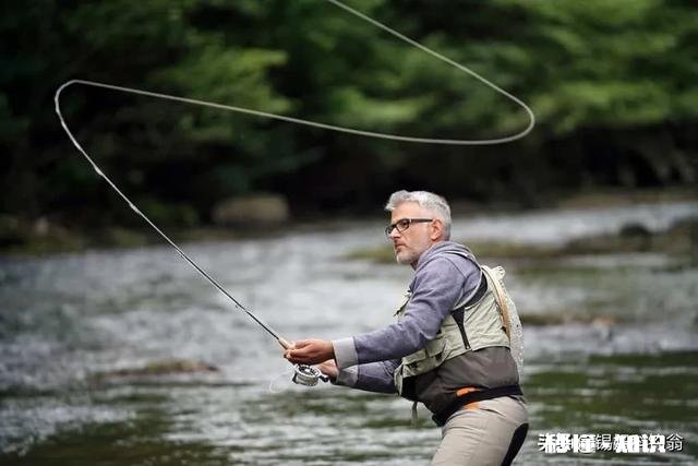 用仿生虾能钓到鱼吗