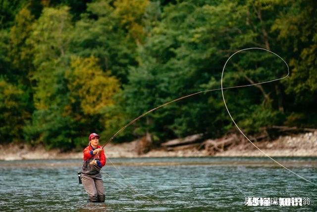用仿生虾能钓到鱼吗