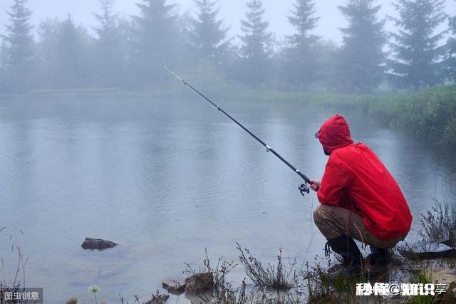 用仿生虾能钓到鱼吗