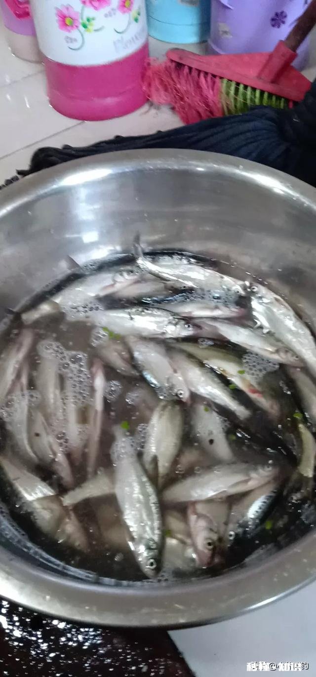 用仿生虾能钓到鱼吗