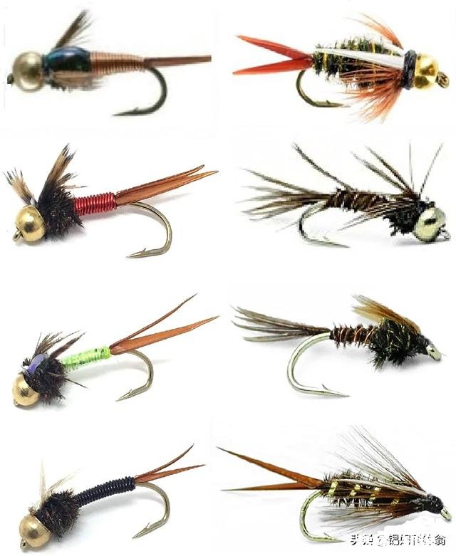 用仿生虾能钓到鱼吗