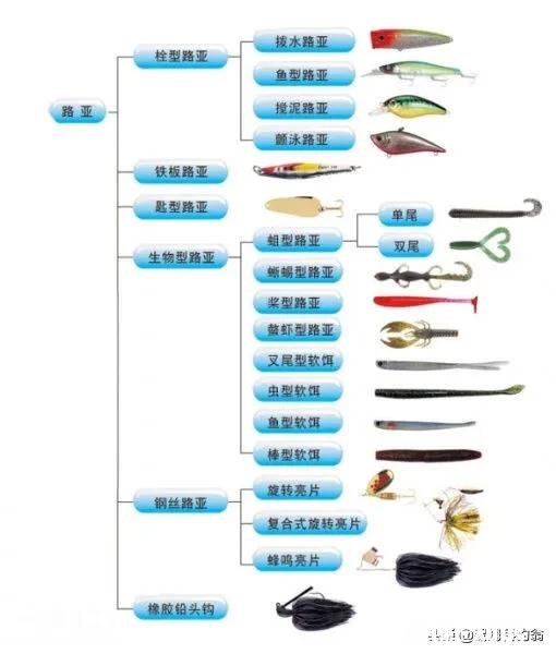 用仿生虾能钓到鱼吗