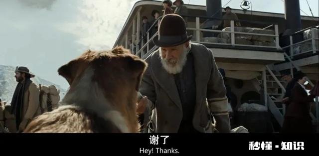 《野性的呼唤》这部电影，你觉得好看吗看完有什么感悟呢