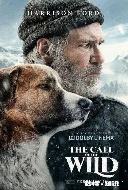 《野性的呼唤》这部电影，你觉得好看吗看完有什么感悟呢