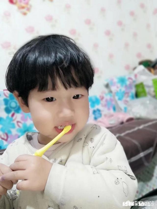 有什么很美的图