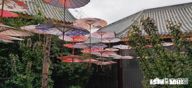 让你做个梦，你想回到什么时候