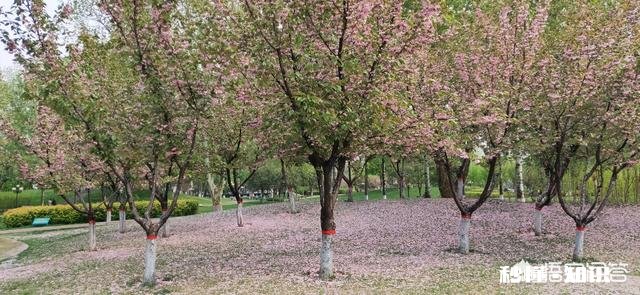 让你做个梦，你想回到什么时候