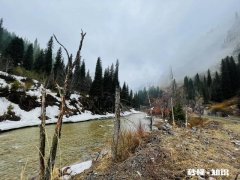 请问218国道那拉提到库尔勒是否通车，路况怎么样