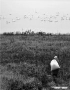 你有坚守的东西吗如何坚守的