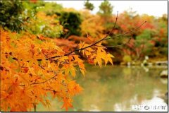 异地，一天聊不到几句话，男方还不让分手，是为什么