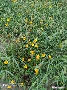 你是选择一辈子平平庸庸的为别人打工还是动脑子做老板