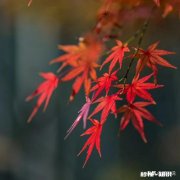 高中生的第一台单反应该怎么选