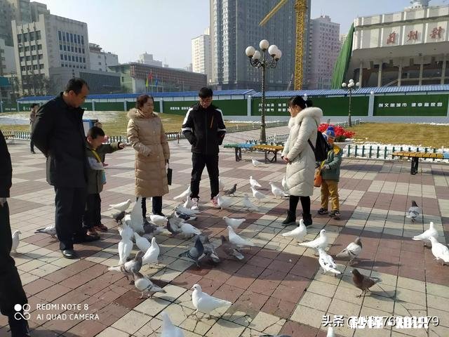 有一个会画画、会摄影的老公是什么体验