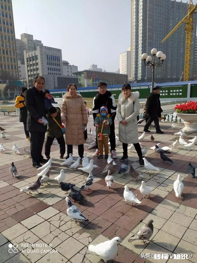 有一个会画画、会摄影的老公是什么体验