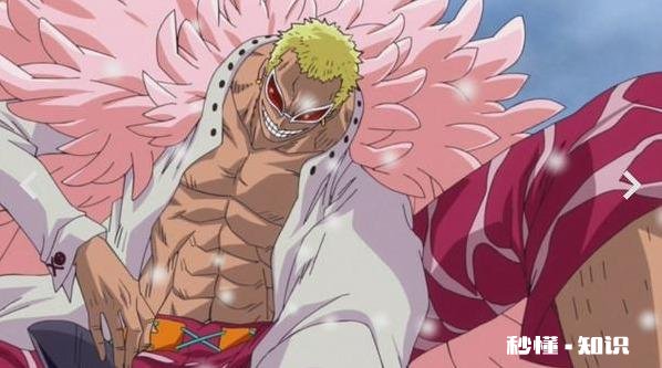 罗对草帽团是怎样的态度