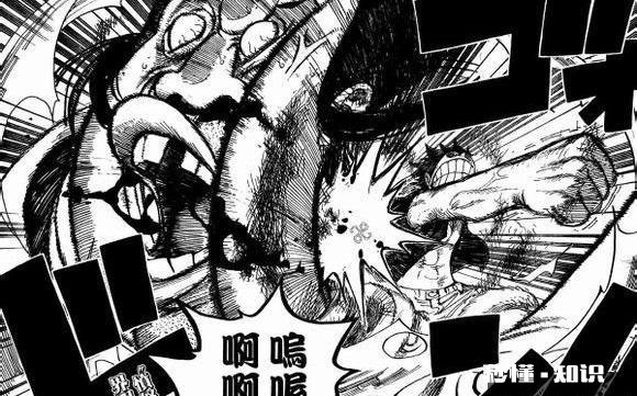 罗对草帽团是怎样的态度