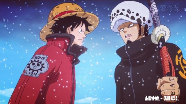 罗对草帽团是怎样的态度