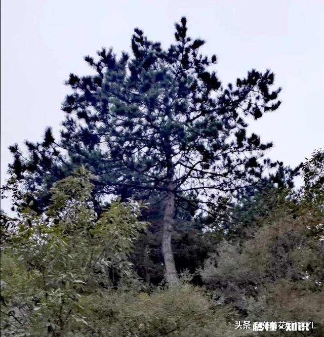 女人该如何做到感情独立、经济独立，最大地实现自己在社会中的价值