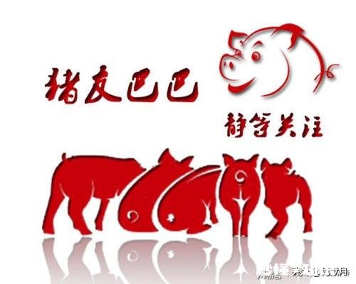 生猪已经连续降价超7周，2021年，养猪还挣钱吗