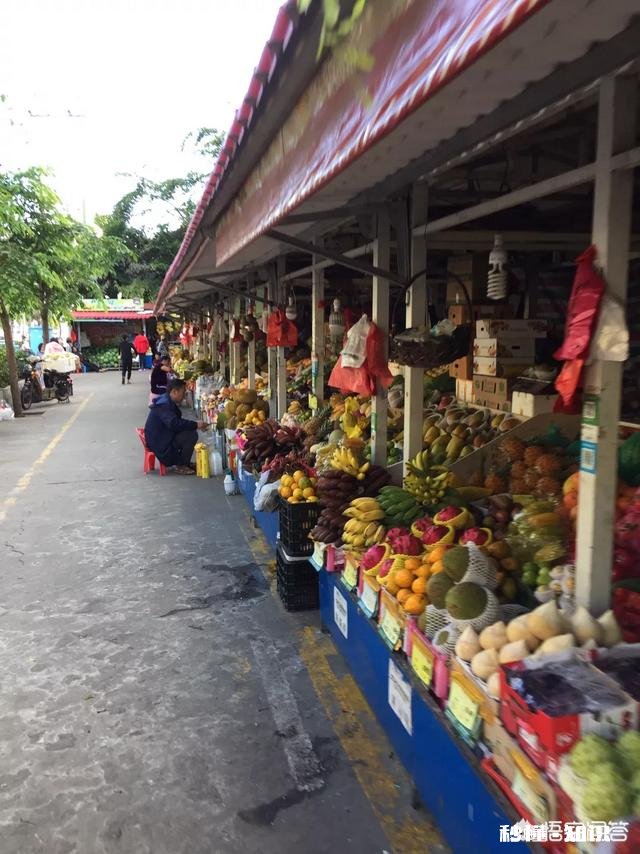 为什么一些海南人买果菜不喜欢讨价还价