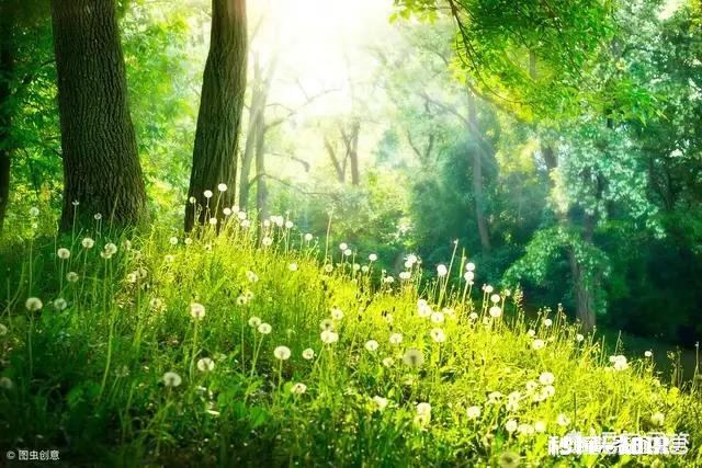 生活中,有时候心情很不好,怎么改变这么种状态