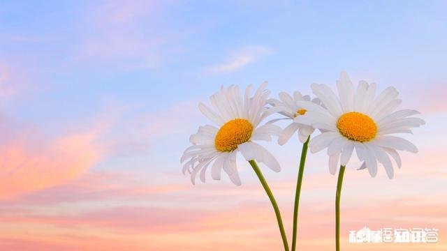 生活中,有时候心情很不好,怎么改变这么种状态