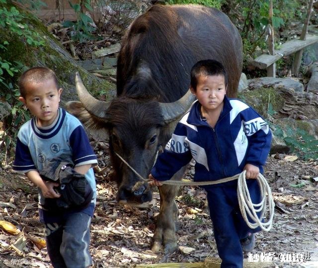 农村人家有两儿子，一定要准备好两百万吗