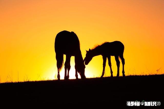28年前兄弟借2万元,没立字据,不知是忘了还是什么,一直不还,如何开口要回来