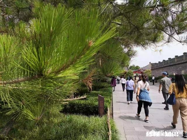 命运真的无法改变吗该不该“认命”