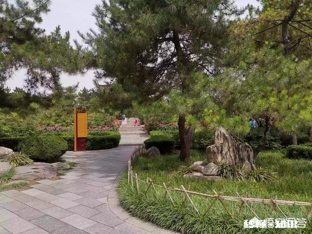 命运真的无法改变吗该不该“认命”