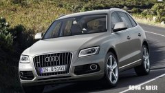 2017年奥迪Q5刹车，倒车有异响吗