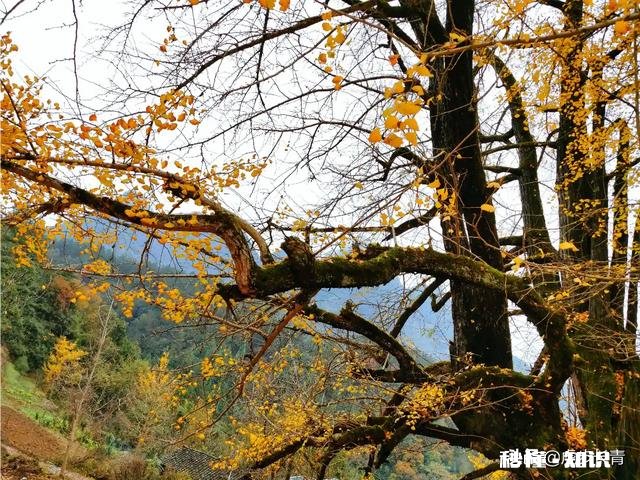 你拍摄过哪些题材,堪称是大自然赐予的礼物