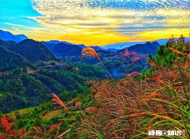 你拍摄过哪些题材,堪称是大自然赐予的礼物