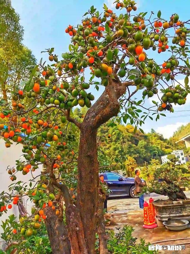 你拍摄过哪些题材,堪称是大自然赐予的礼物