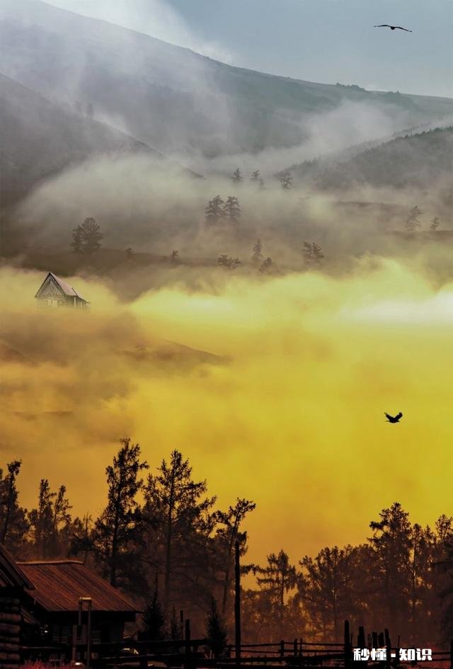 你拍摄过哪些题材,堪称是大自然赐予的礼物