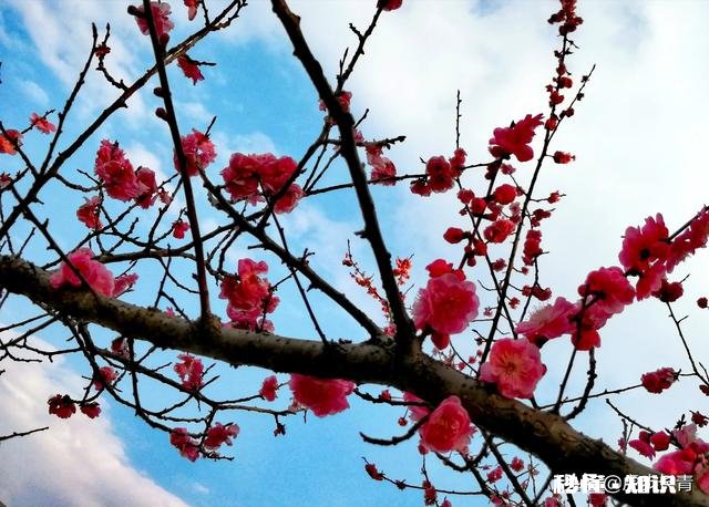 你拍摄过哪些题材,堪称是大自然赐予的礼物