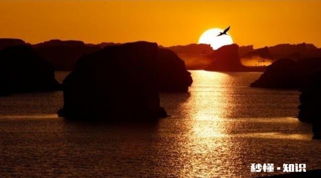 你拍摄过哪些题材,堪称是大自然赐予的礼物