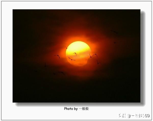 你拍摄过哪些题材,堪称是大自然赐予的礼物