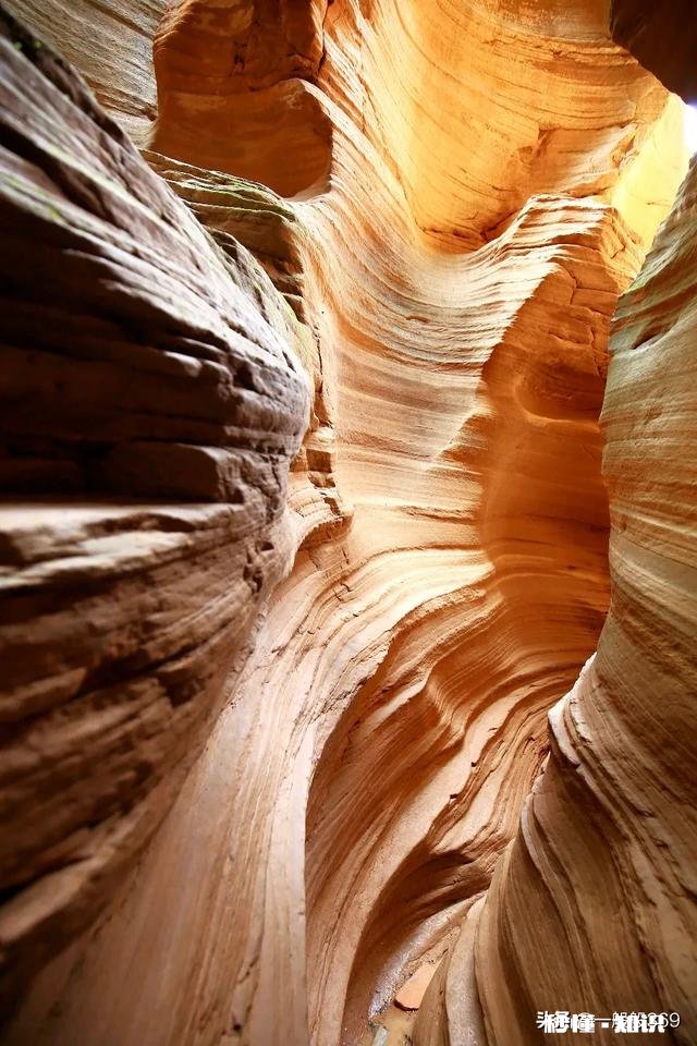 你拍摄过哪些题材,堪称是大自然赐予的礼物