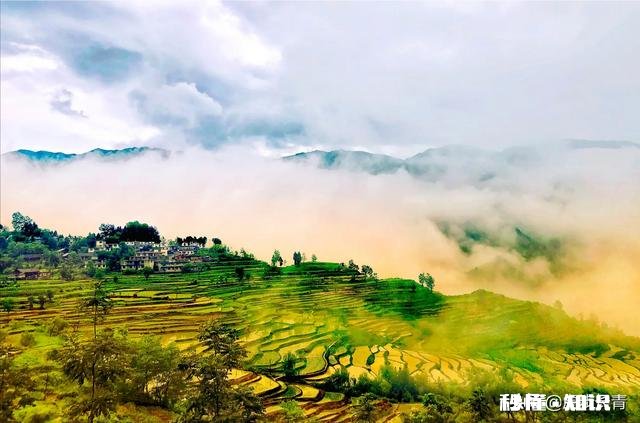 你拍摄过哪些题材,堪称是大自然赐予的礼物