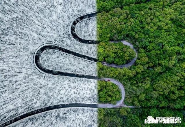 2018年最佳无人机拍摄照片评奖结果出炉，作品都有哪些